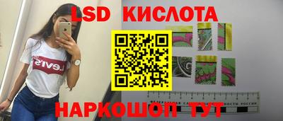 apvp Камышлов