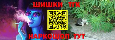 apvp Камышлов