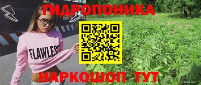 apvp Камышлов
