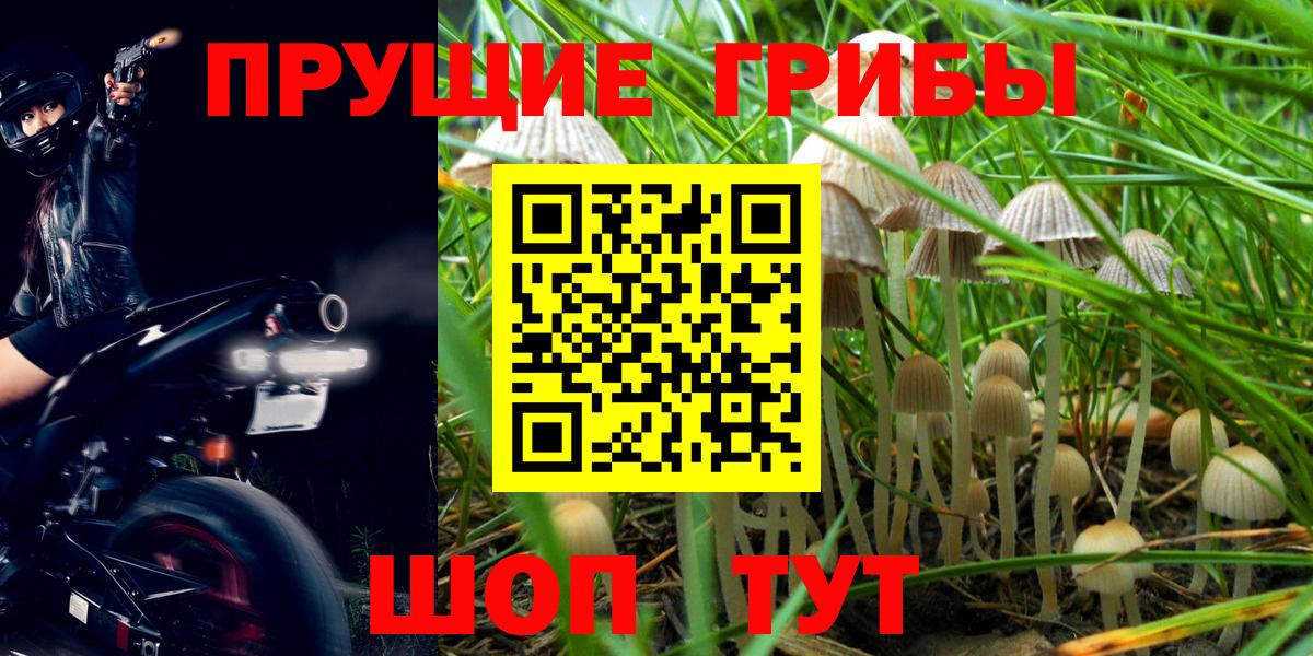 Псилоцибиновые грибы мухоморы  Вход с VPN  Псилоцибиновые грибы мухоморы  Великий Устюг 