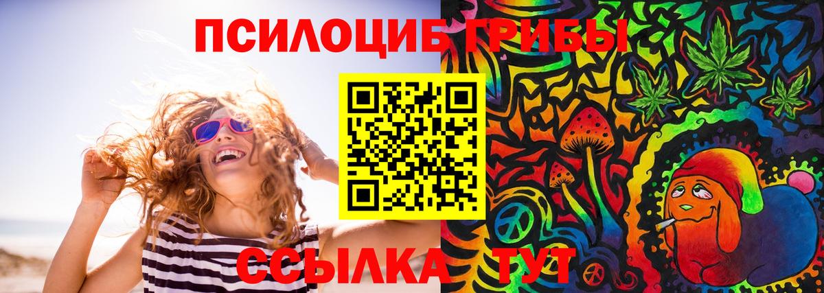 Псилоцибиновые грибы Psilocybe Великий Устюг